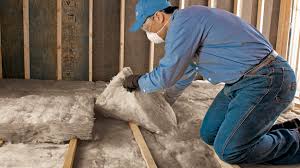 Best Insulation Replacement  in USA